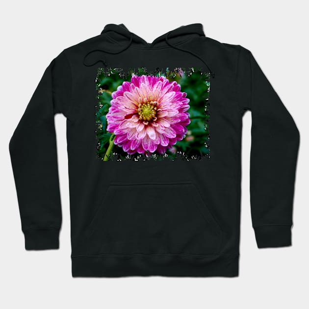 Dahlia Hoodie by Nicole Gath Photography